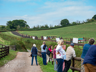 PH020922-54 - 3Rd Lot on the gallops